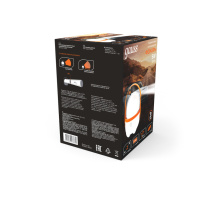 Купить с доставкой по Москве и России Фонарь Gauss GF001