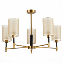 Купить с доставкой по Москве и России Люстра на штанге Evoluce SLE300302-05