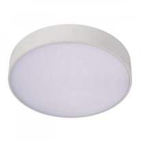 Фото Накладной светильник APLOYT APL.0114.09.24