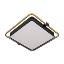 Фото Накладной светильник LOFT IT 10172