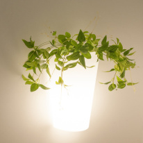 Светильник настенный Mantra 6508 в интернет магазине Гет Лайт