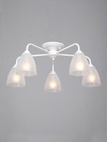 Фото Накладная люстра Vitaluce V3946-0/5PL