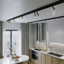 Цена на Светильник на шине Elektrostandard 85046/01 латунь