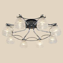 Купить Накладная люстра Citilux CL147181