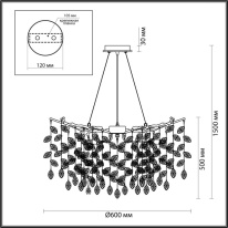Подвесная люстра Odeon Light 4969/10 Купить Подвесная люстра Odeon Light 4969/10