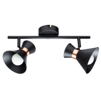 Фото Спот ARTE Lamp A1406AP-2BK