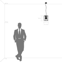 Купить Подвесной светильник Lightstar 798111