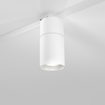 Купить Светильник на шине Elektrostandard Slim Magnetic R02 Трековый светильник 12W 4200K (белый) 8501