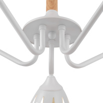 Подвесная люстра Freya FR5138PL-05W в интернет магазине Гет Лайт