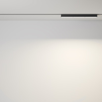 Цена на Светильник на шине Maytoni Technical TR106-2-18W3K-B