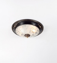 Фото Накладной светильник Lucia Tucci LUGO 142.2 R30 brown