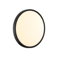 Купить с доставкой по Москве и России Накладной светильник Sonex 7660/24L