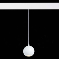 Цена на Светильник на шине ST-Luce ST354.533.12