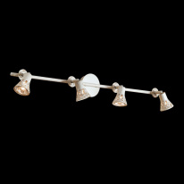 Купить Спот Citilux CL519545