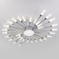 Фото Накладная люстра Bogate's 574 Smart (572)