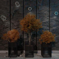 Купить Светильник настенный Novotech 359163