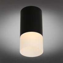 Купить с доставкой по Москве и России Накладной светильник Omnilux OML-100619-01