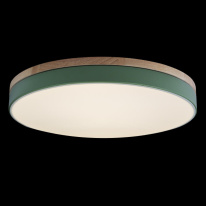 Купить с доставкой по Москве и России Детский светильник LOFT IT 10001/36 Green