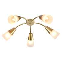 Фото Накладная люстра Escada 1100/5P Gold