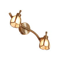 Фото Спот Citilux CL522521