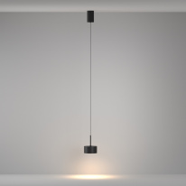 Подвесной светильник Maytoni Technical P102PL-12W3K-B Цена на Подвесной светильник Maytoni Technical P102PL-12W3K-B