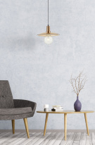 Цена на Подвесной светильник Simple Story 1016-1PL