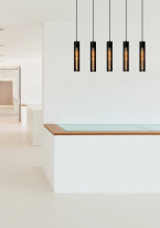 Цена на Подвесной светильник LUCIDE 73406/05/30