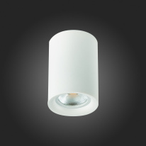 Купить с доставкой по Москве и России Накладной светильник ST-Luce ST114.507.01