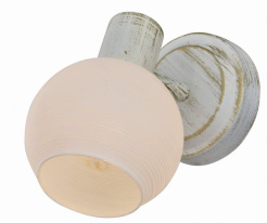 Фото Спот TOPLIGHT TL3710Y-01WG