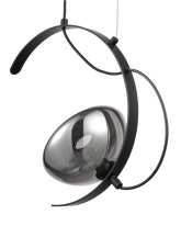 Цена на Подвесной светильник Vele Luce VL5462P01