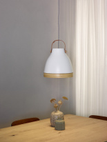 Цена на Подвесной светильник LUCIDE 75400/01/31