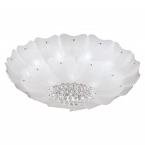 Фото Накладной светильник Lightstar 804070