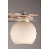 Накладная люстра Omnilux OML-50517-05 Купить Накладная люстра Omnilux OML-50517-05