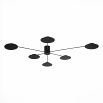 Фото Люстра на штанге ST-Luce SL6006.402.06