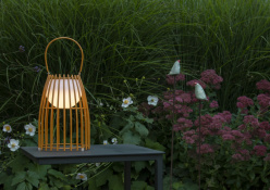 Купить с доставкой по Москве и России Настольная лампа LUCIDE 06801/01/43