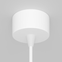 Цена на Подвесной светильник Maytoni Technical P064PL-01W-1