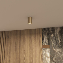 Накладной светильник Denkirs DK2050-SG в интернет магазине Гет Лайт