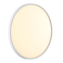 Купить с доставкой по Москве и России Накладной светильник Sonex 7659/40L