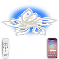 Фото Накладная люстра Natali Kovaltseva LED LAMPS 81150