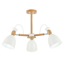 Фото Люстра на штанге Evoluce SLE103802-03