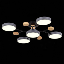 Купить с доставкой по Москве и России Люстра на штанге Evoluce SLE6006-702-05