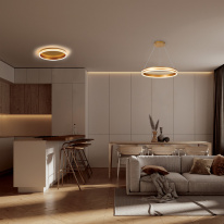 Купить с доставкой по Москве и России Подвесной светильник Feron 41698