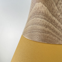 Купить с доставкой по Москве и России Бра ImperiumLoft 178364-26