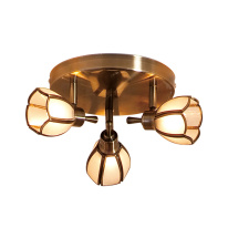 Фото Спот Citilux CL522531