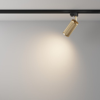 Купить с доставкой по Москве и России Светильник на шине Maytoni Technical TR011-1-GU10-G