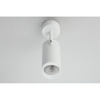 Купить с доставкой по Москве и России Спот Omnilux OML-102609-20