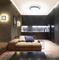 Купить с доставкой по Москве и России Накладной светильник Natali Kovaltseva 81038/5C