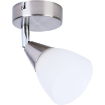 Фото Спот TOPLIGHT TL1232Y-01SN