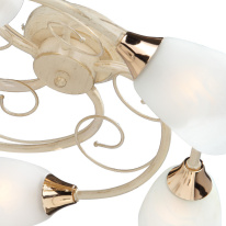 Купить Накладная люстра Vitaluce V3663/5PL