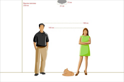 Цена на Накладной светильник MW-Light 295013402